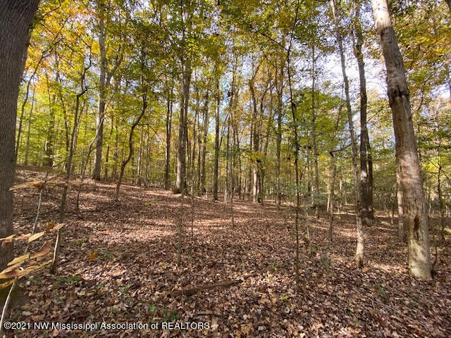 16 Sandy Ridge Road Byhalia, MS 38611 - Photo 8 of 13 unnamed