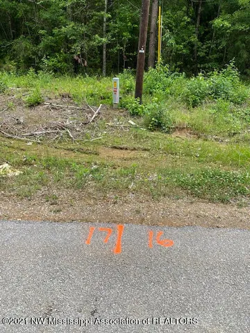 $75,000 | 16 Sandy Ridge Road, Byhalia, MS 38611