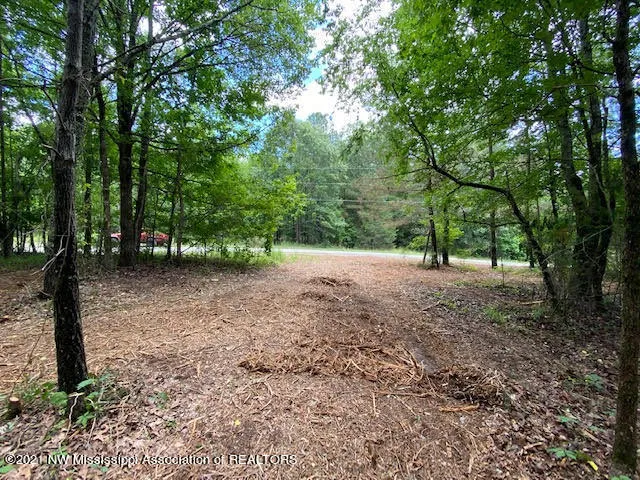 $75,000 | 16 Sandy Ridge Road, Byhalia, MS 38611