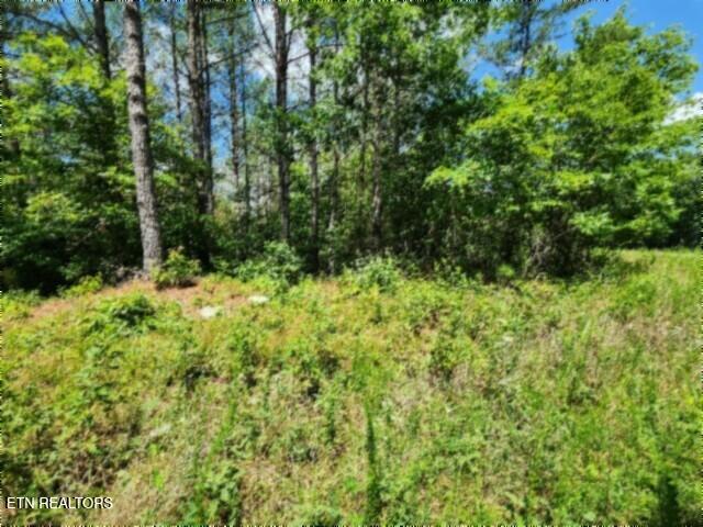 674 Rhodas Way Sunbright, TN 37872 - Photo 19 of 37 20260629_123833