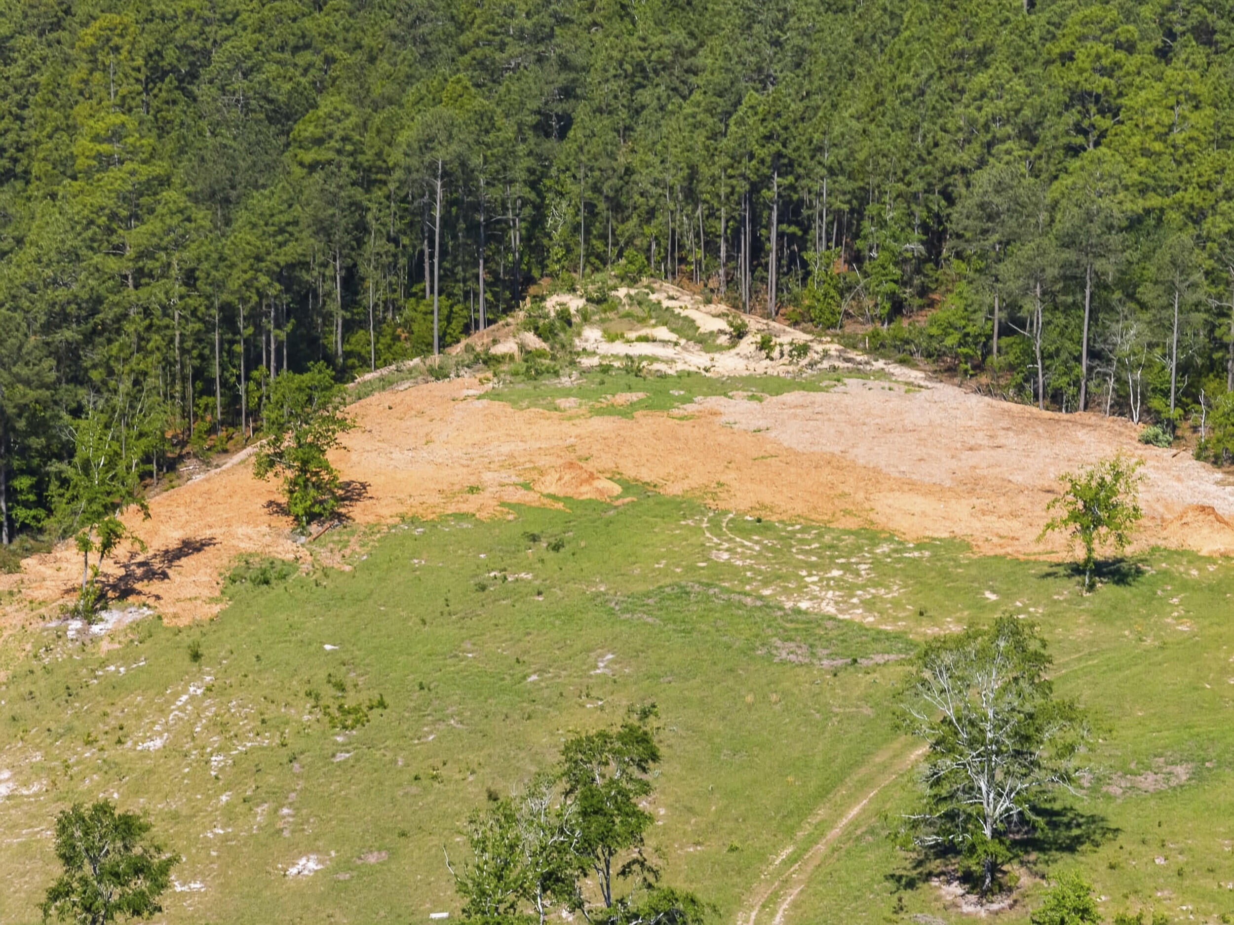 150 Ridgecrest Road Graniteville, SC 29829 - Photo 8 of 34