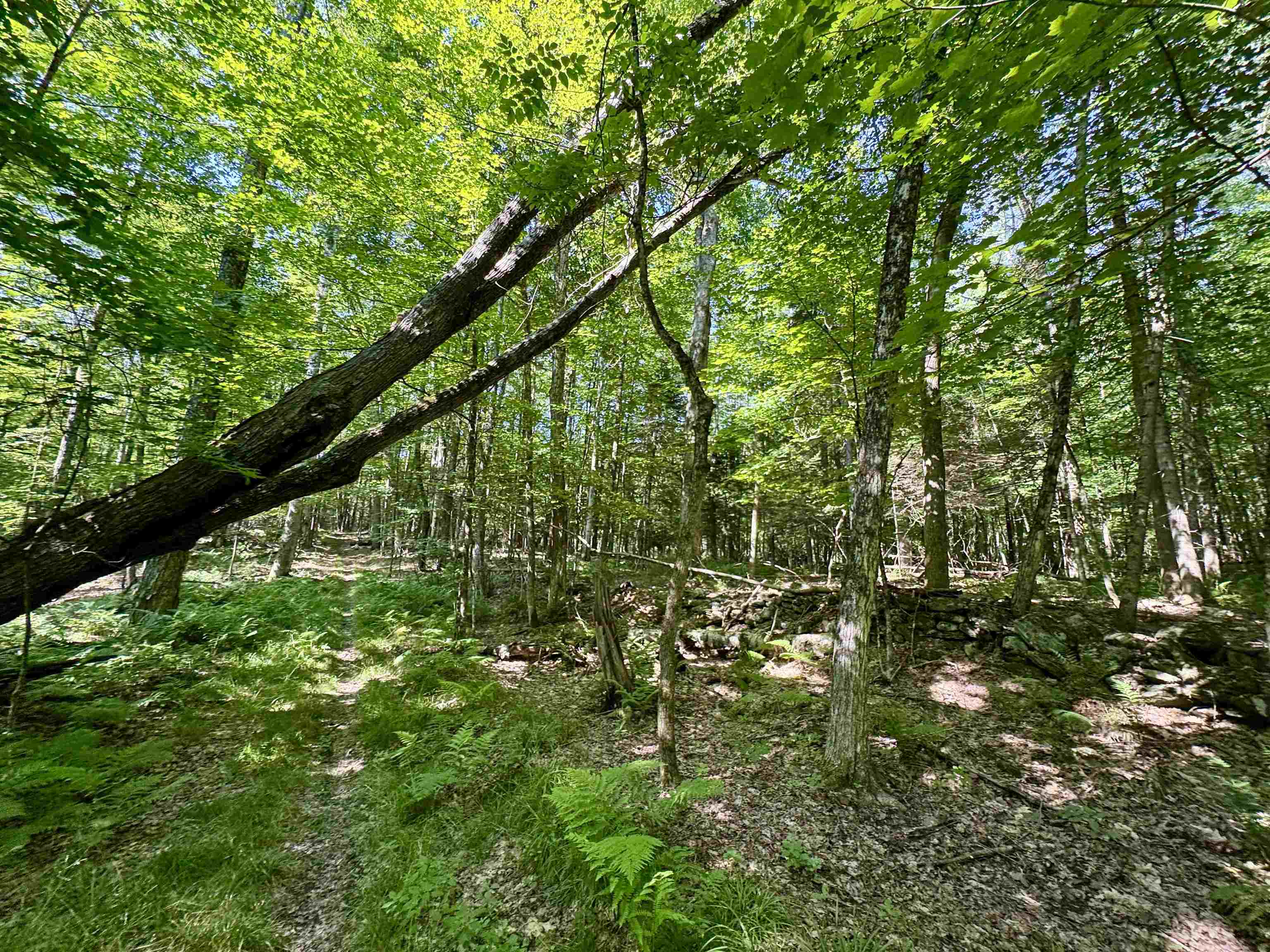 0 Mountain Road Bath, NH 03740 - Photo 5 of 10