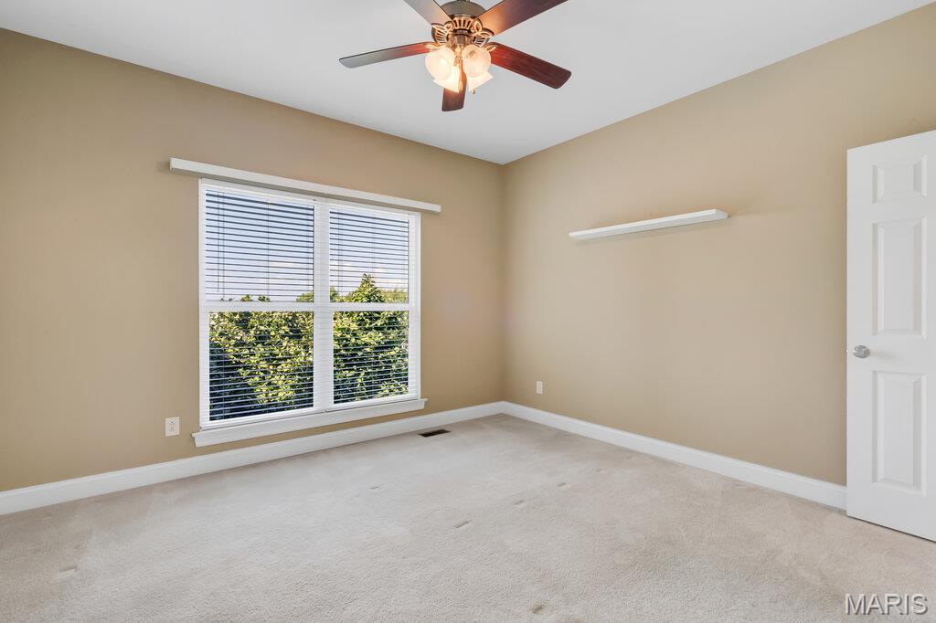 831 Autumn Rise Lane Columbia, IL 62236 - Photo 31 of 67 Gallery Image 31