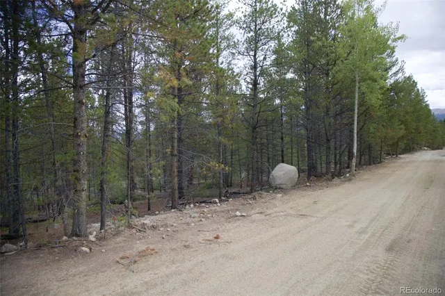 a view of a park with large trees
