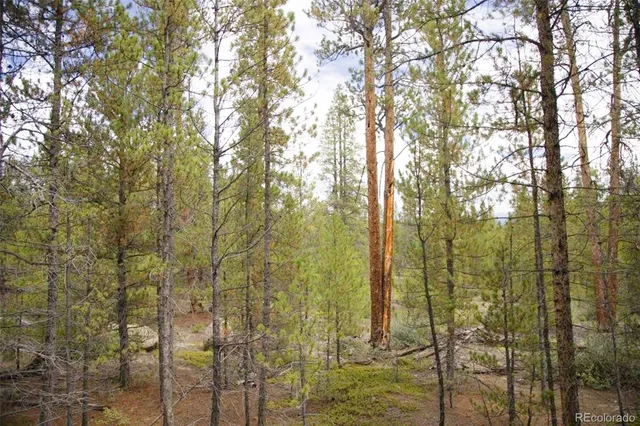 a view of a bathroom with a tree