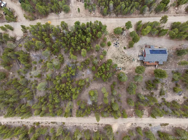 a view of a yard with a bench