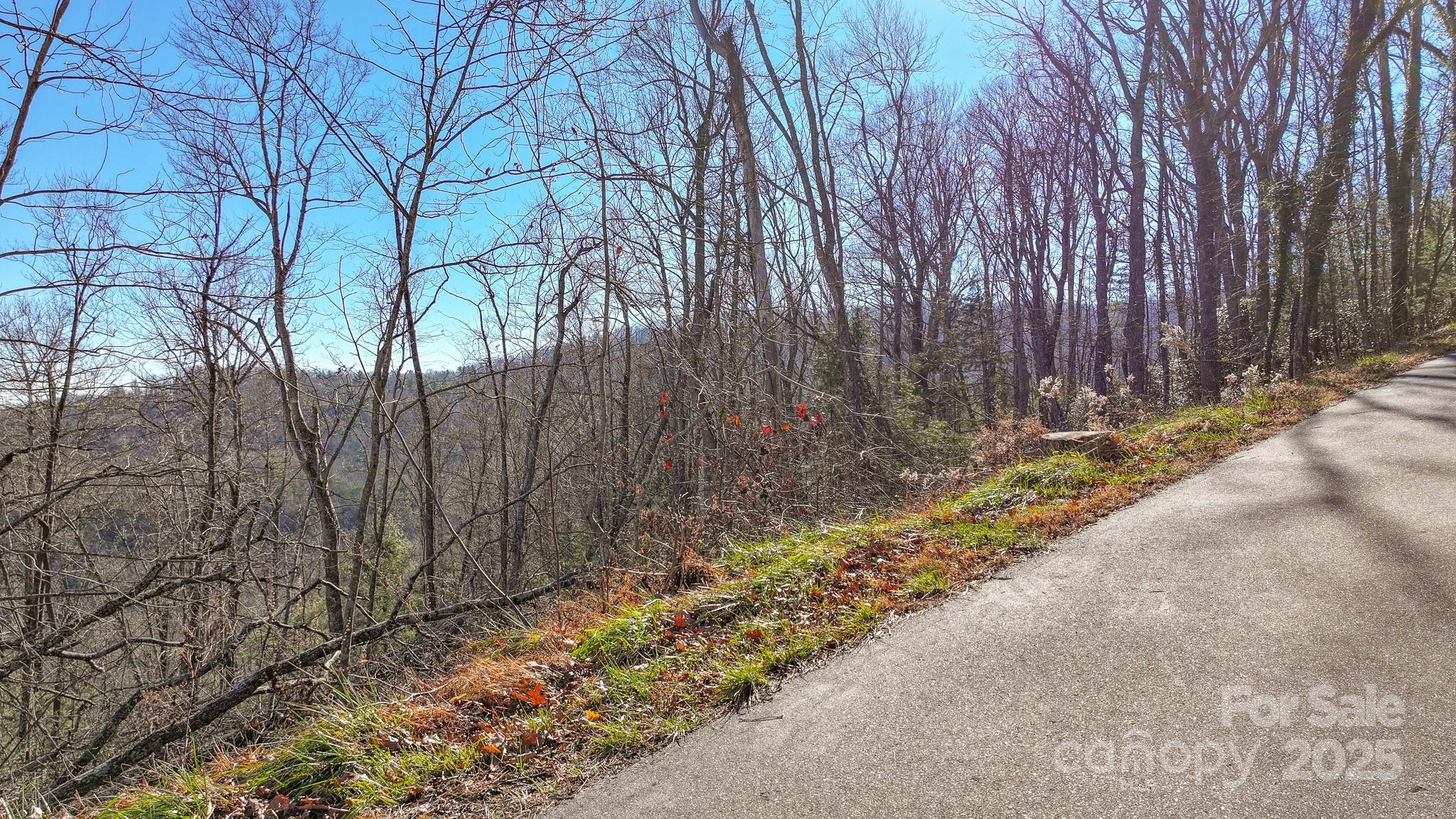 Tbd McHone Road Spruce Pine, NC 28777 - Photo 2 of 18 a view of backyard with wooden fence