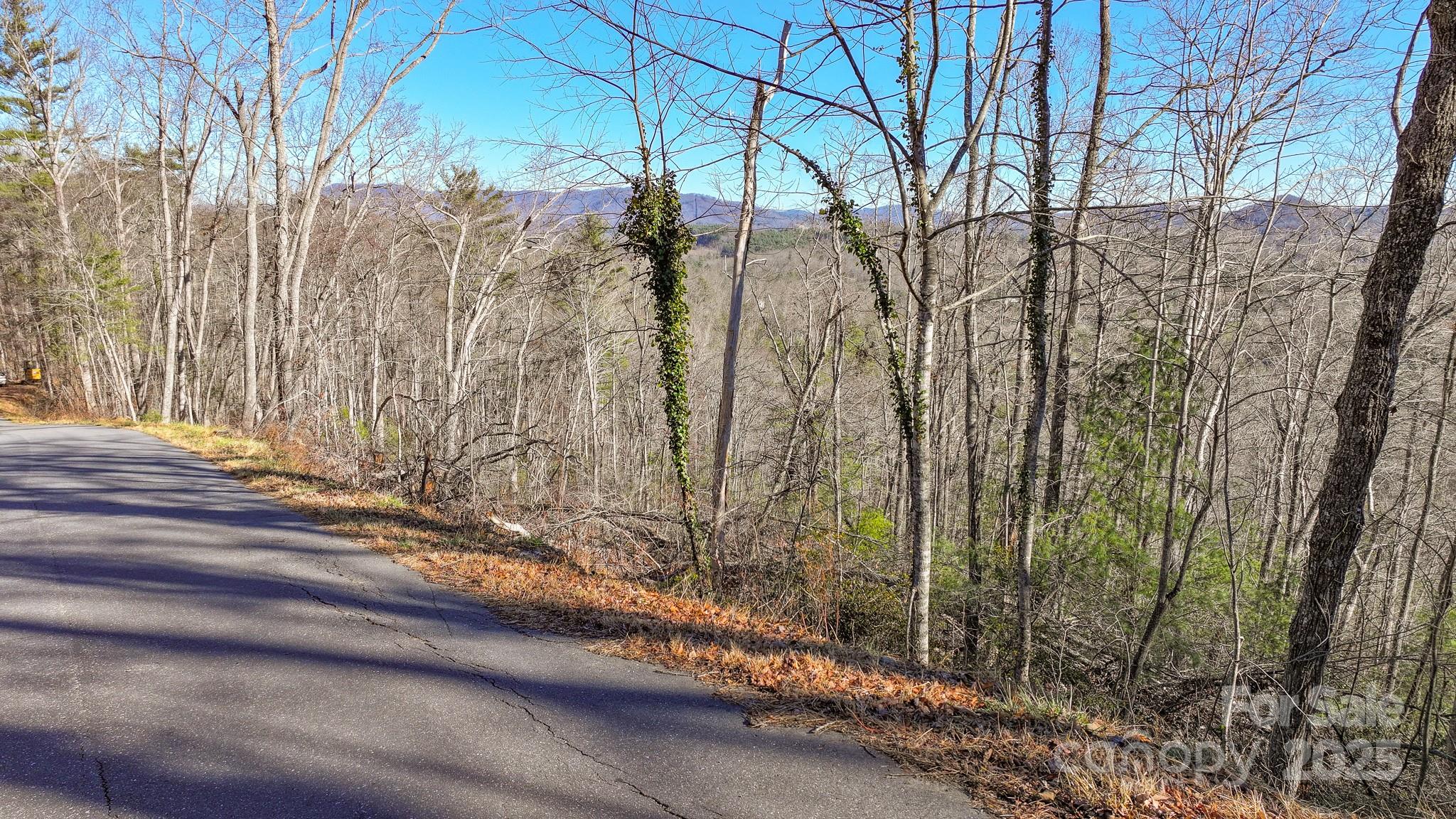 Tbd McHone Road Spruce Pine, NC 28777 - Photo 3 of 18 a view of a backyard of the house