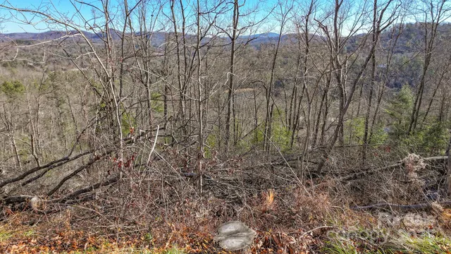 $9,500 | Tbd McHone Road, Spruce Pine, NC 28777