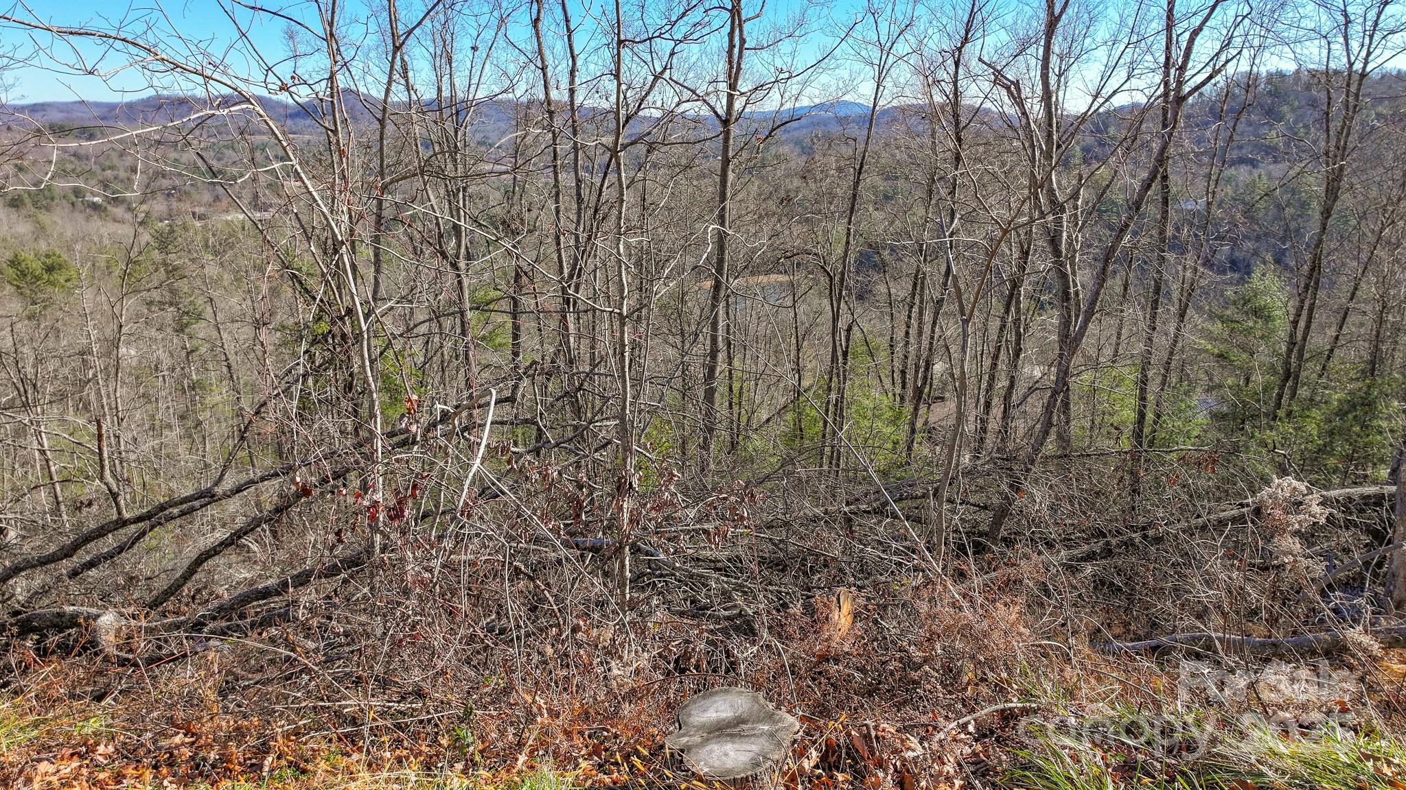Tbd McHone Road Spruce Pine, NC 28777 - Photo 5 of 18 a view of a yard with lots of bushes