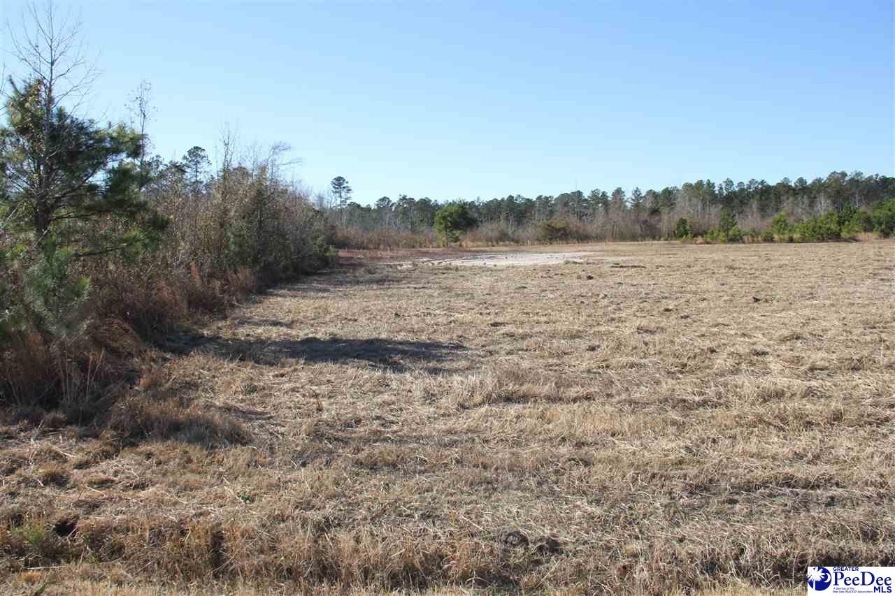 0 Country Manor Road Lamar, SC 29069 - Photo 12 of 15 Gallery Image 12