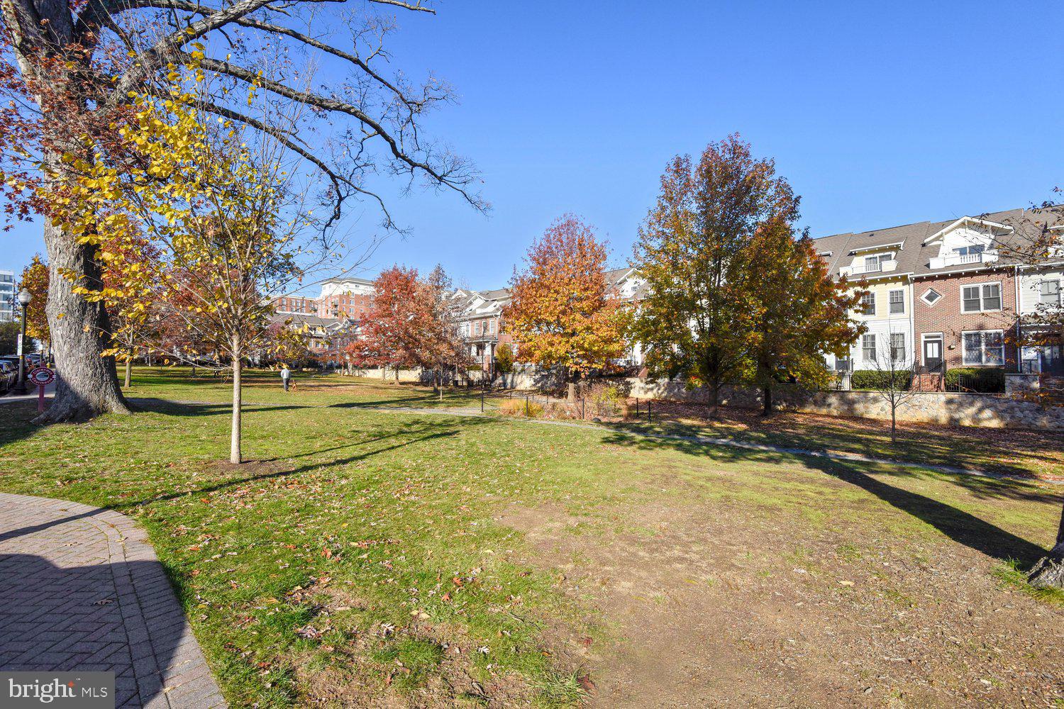 1301 North Courthouse Road, Unit 1607 Arlington, VA 22201 - Photo 37 of 44 Clarendon Dog Park