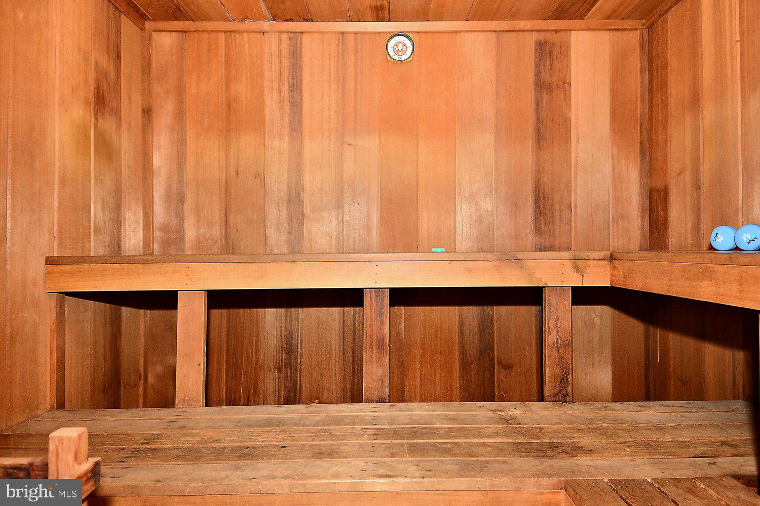 1301 North Courthouse Road, Unit 1607 Arlington, VA 22201 - Photo 44 of 44 Woodbury Heights Sauna