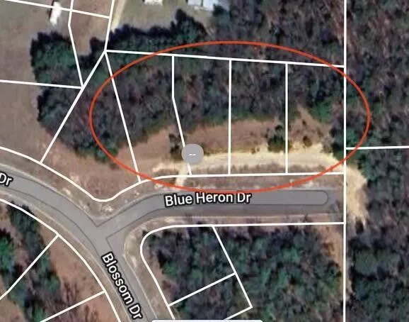 $60,000 | Lt1 Blue Heron Drive, Warrens, WI 54666