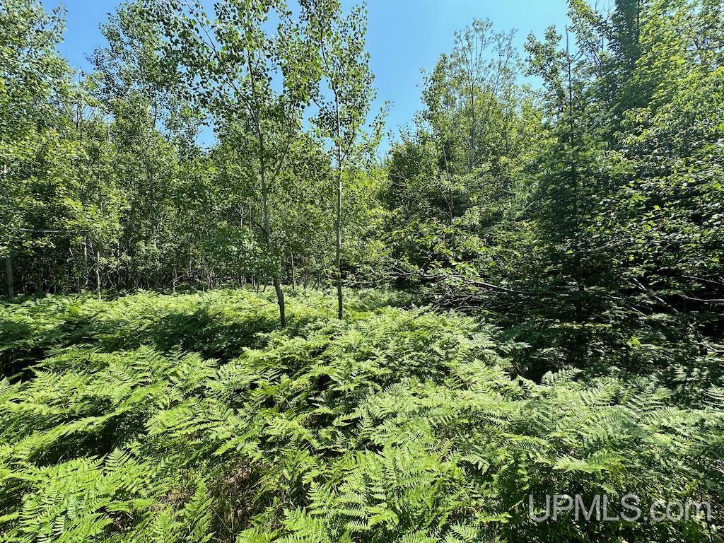 Parcel A Webb Road Grand Marais, MI 49839 - Photo 22 of 29