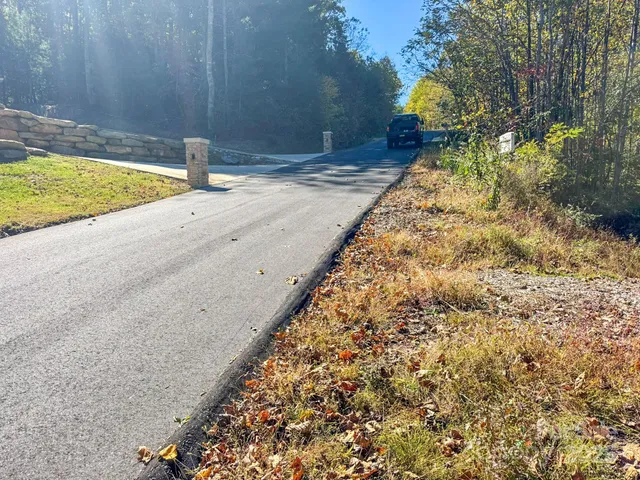 a view of a yard with plants and large trees