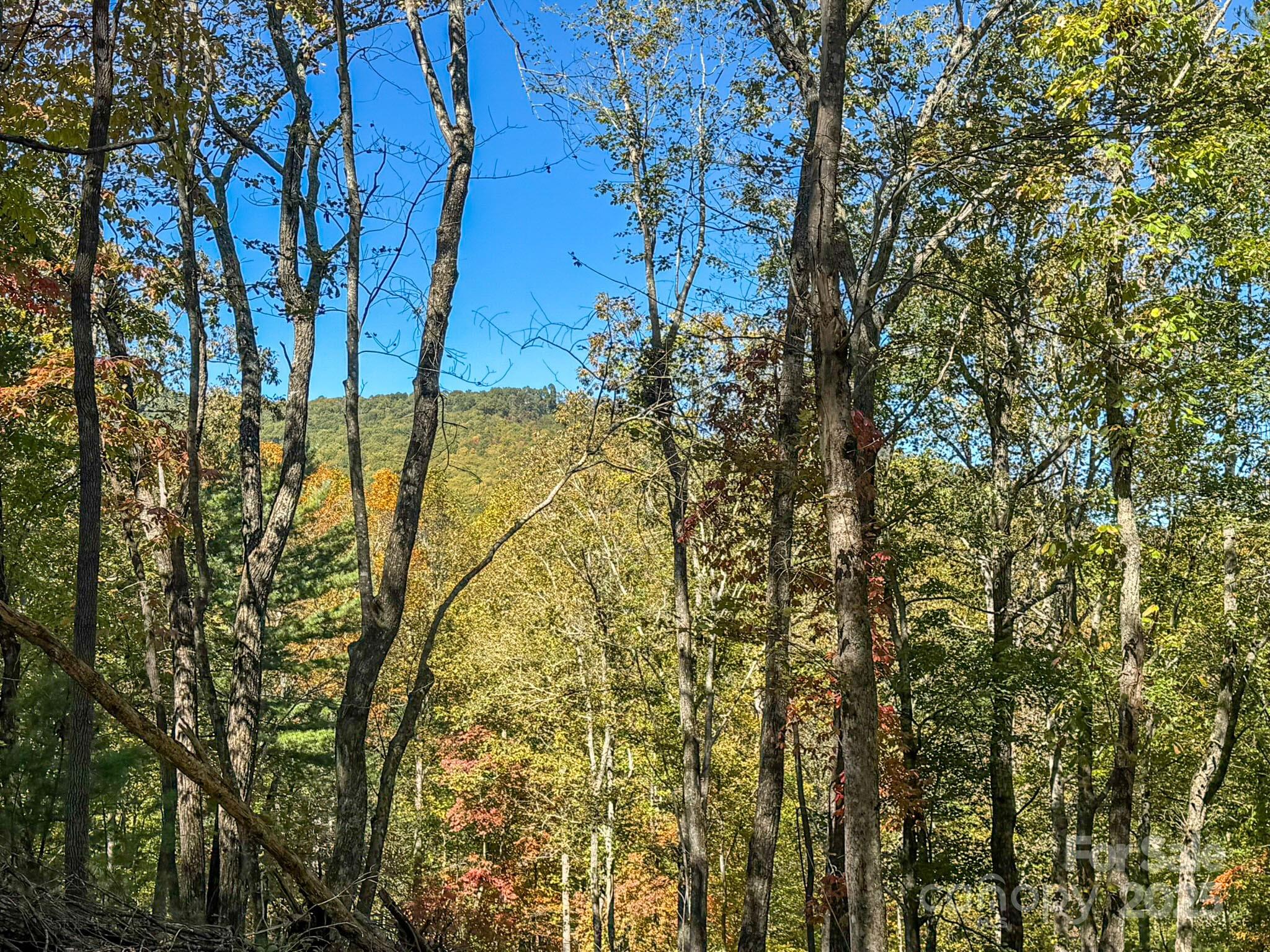 212 Judson Ridge Road Arden, NC 28704 - Photo 13 of 23 Gallery Image 13
