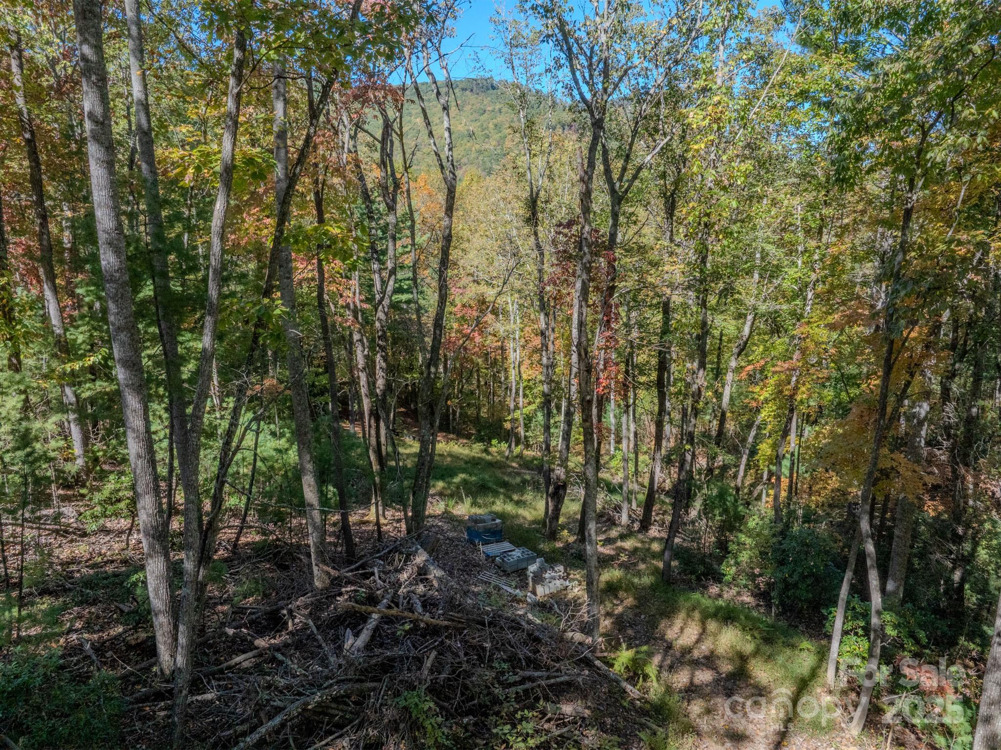 212 Judson Ridge Road Arden, NC 28704 - Photo 14 of 23 Gallery Image 14