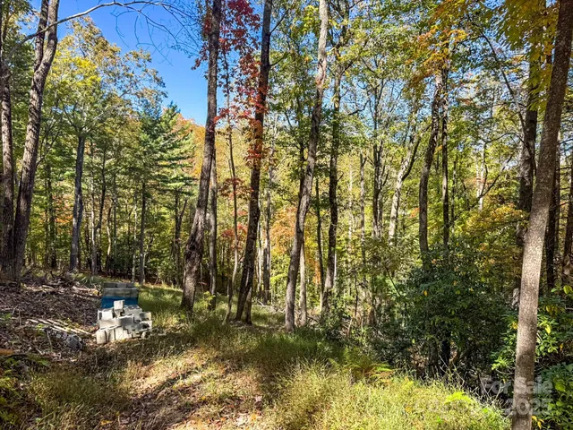 a view of outdoor space and a yard