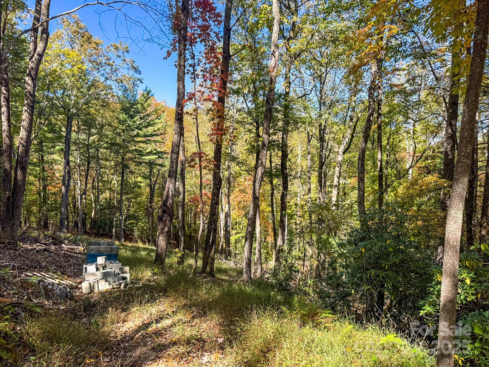 212 Judson Ridge Road Arden, NC 28704 - Photo 15 of 23 Gallery Image 15