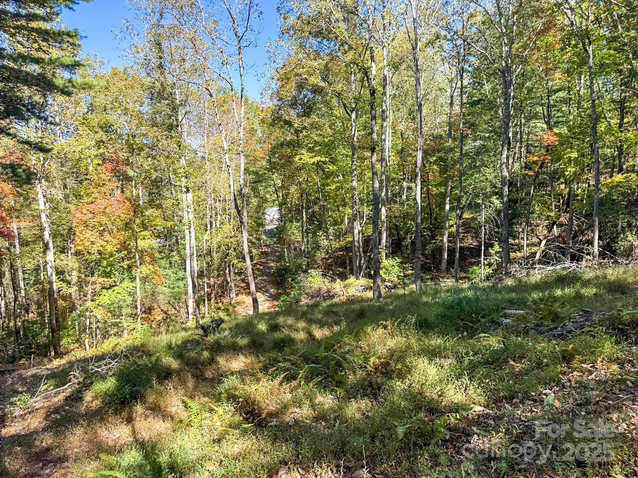 212 Judson Ridge Road Arden, NC 28704 - Photo 16 of 23 Gallery Image 16