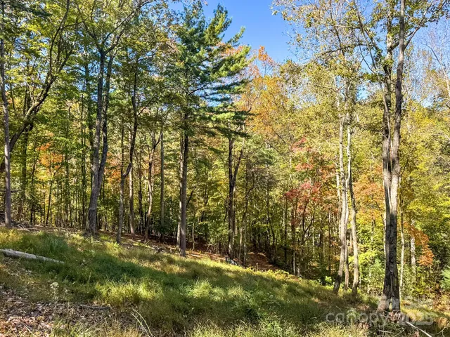 a big yard with lots of green space and trees all around