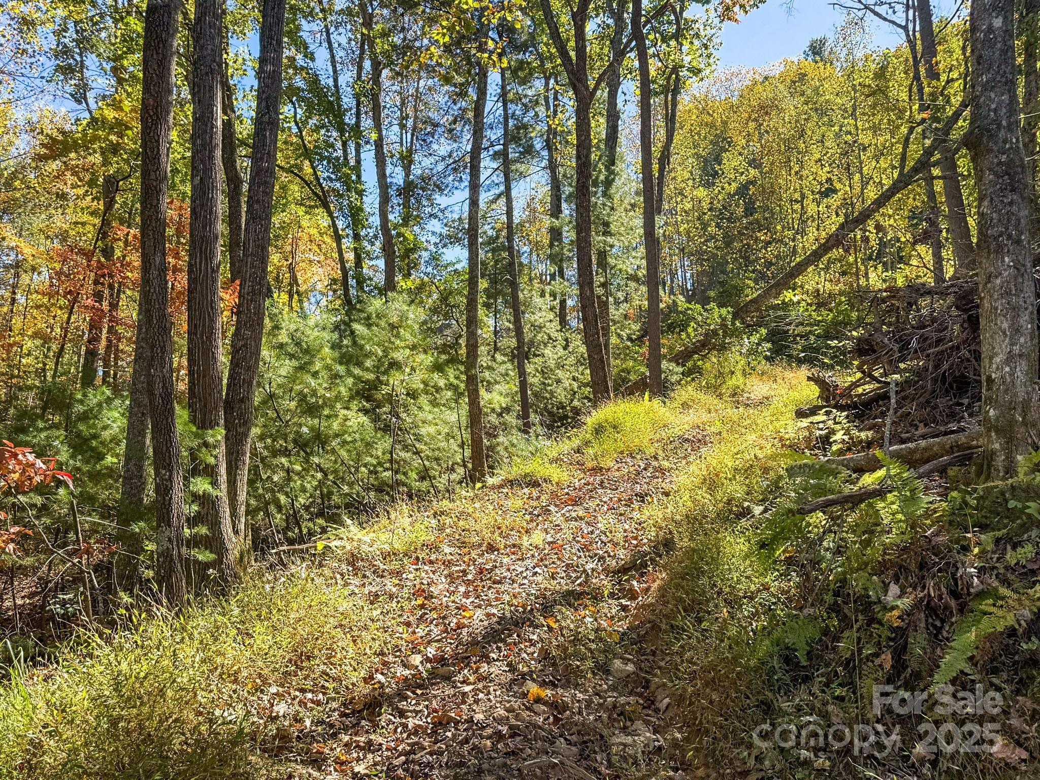 212 Judson Ridge Road Arden, NC 28704 - Photo 18 of 23 Gallery Image 18