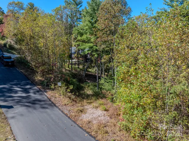 a view of a pathway both side of yard