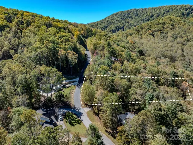a view of a forest with a forest