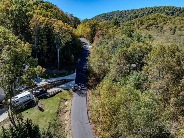 a view of a yard with plants