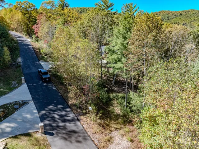 a view of a yard with plants