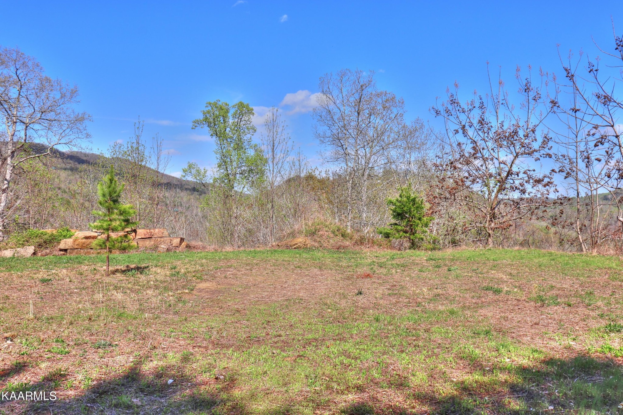 873 Clearwater Road New Tazewell, TN 37825 - Photo 23 of 38
