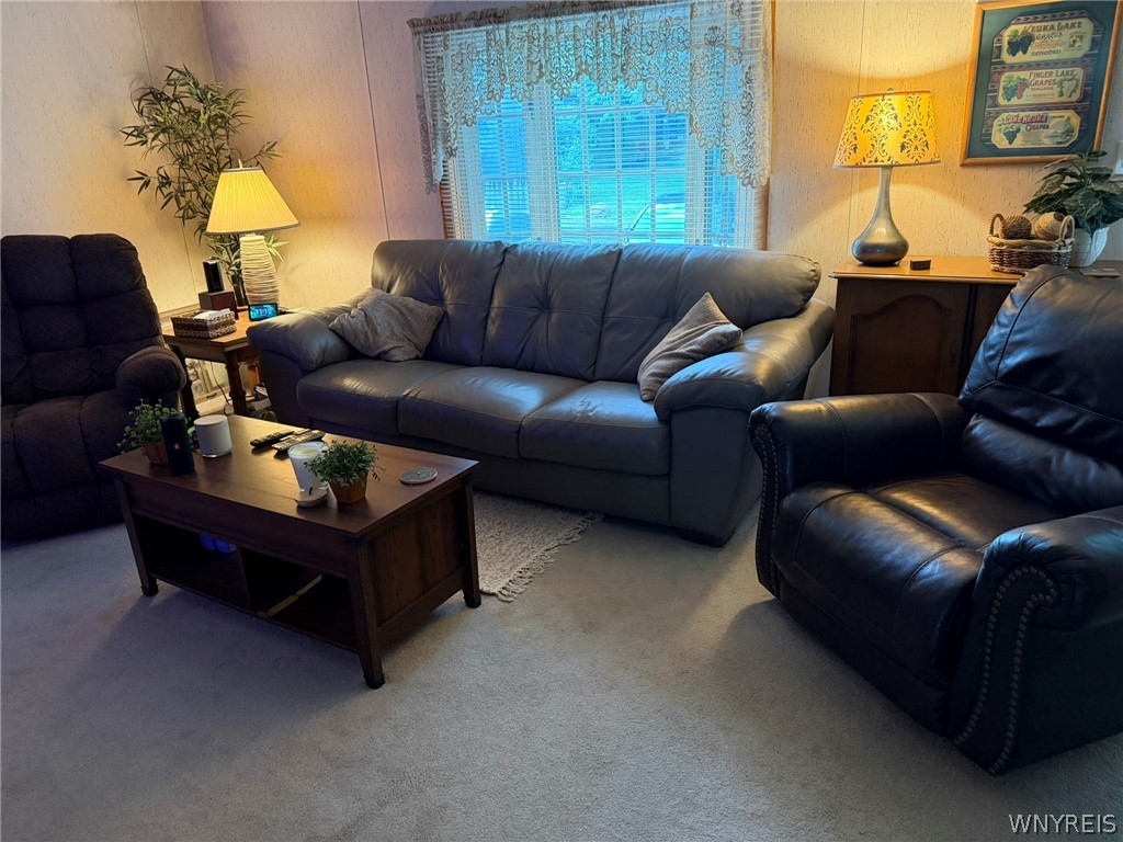 5066 Clinton Street Road Batavia, NY 14020 - Photo 13 of 50