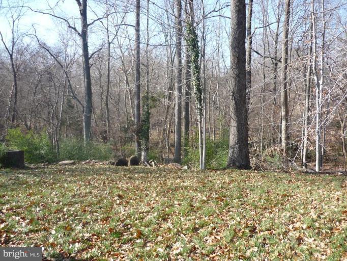 5224 Inverchapel Road Springfield, VA 22151 - Photo 3 of 30 a backyard of a house with lots of green space