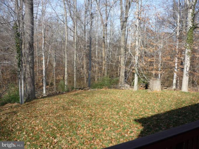 5224 Inverchapel Road Springfield, VA 22151 - Photo 29 of 30 a view of a yard with large trees