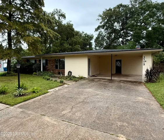 a backyard of a house with plants and tree