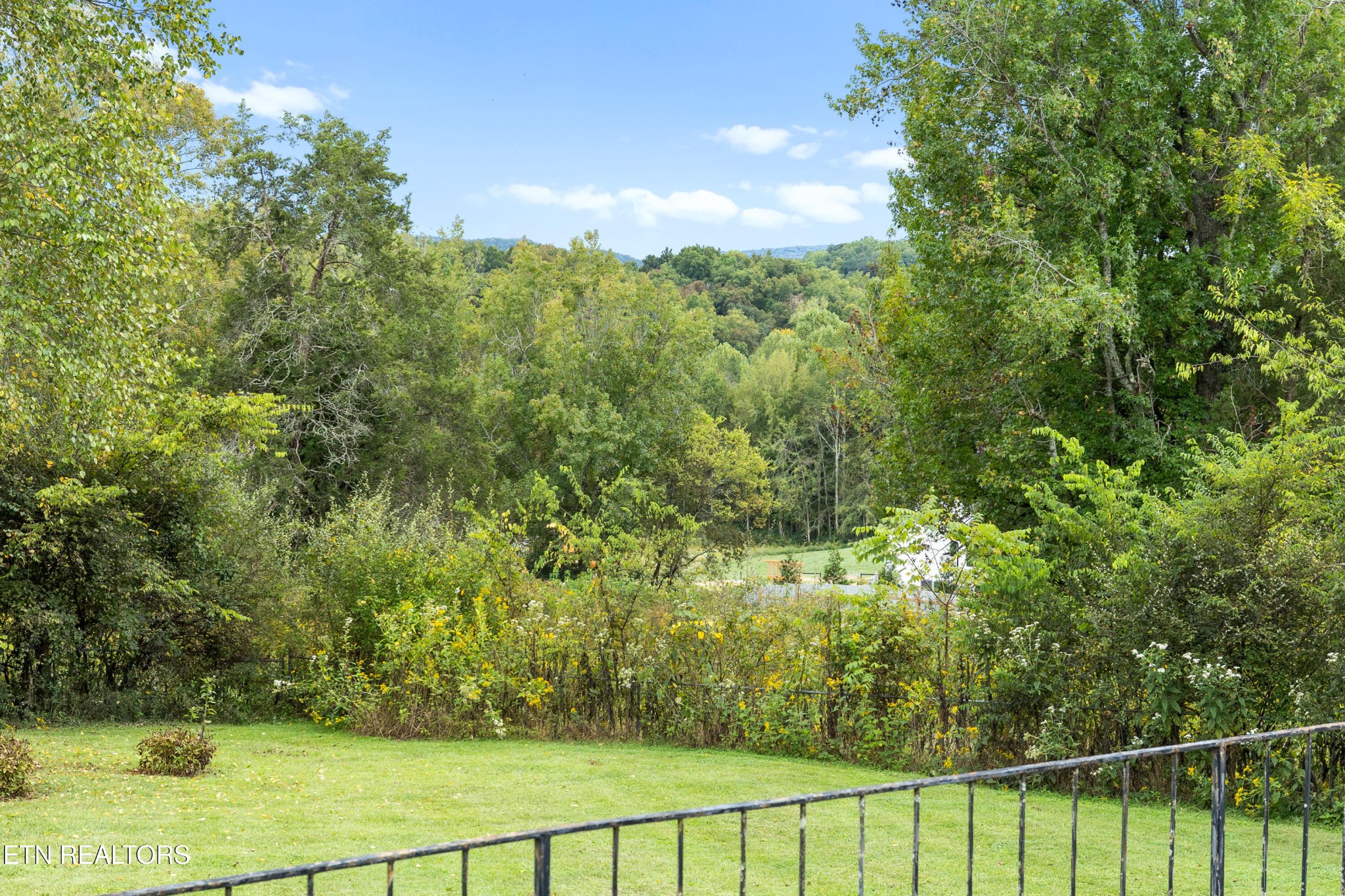 804 Chilhowee View Road Maryville, TN 37803 - Photo 29 of 38 a view of a yard