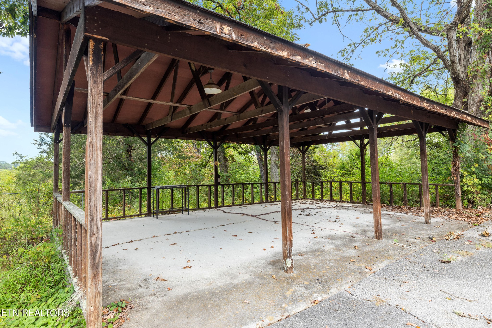 804 Chilhowee View Road Maryville, TN 37803 - Photo 33 of 38 a view of a backyard with a small cabin