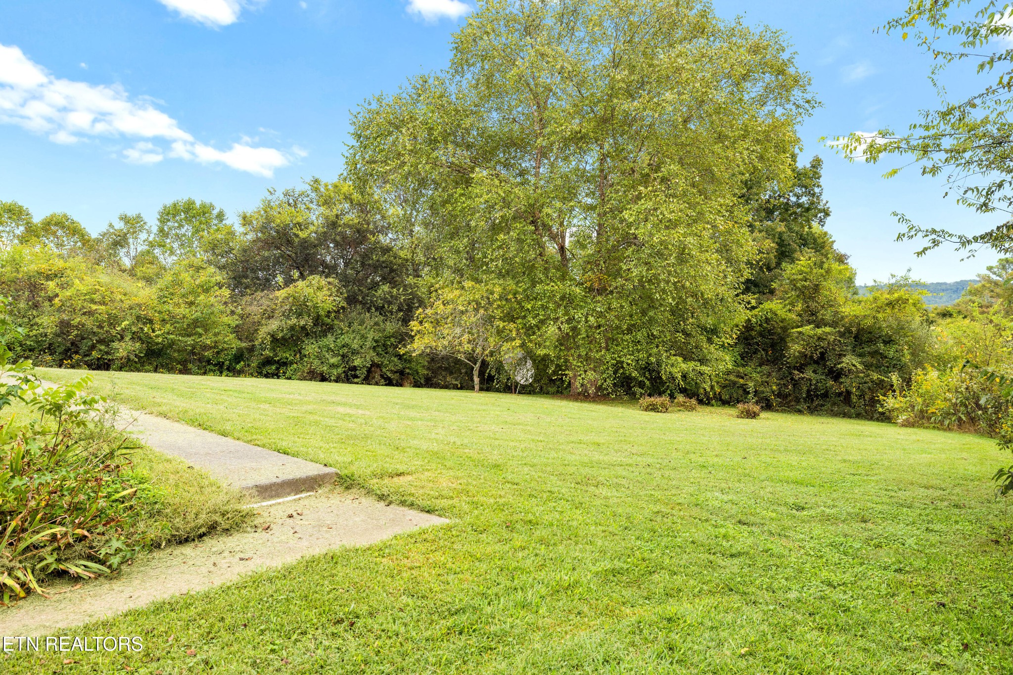 804 Chilhowee View Road Maryville, TN 37803 - Photo 35 of 38 a view of a field with an trees
