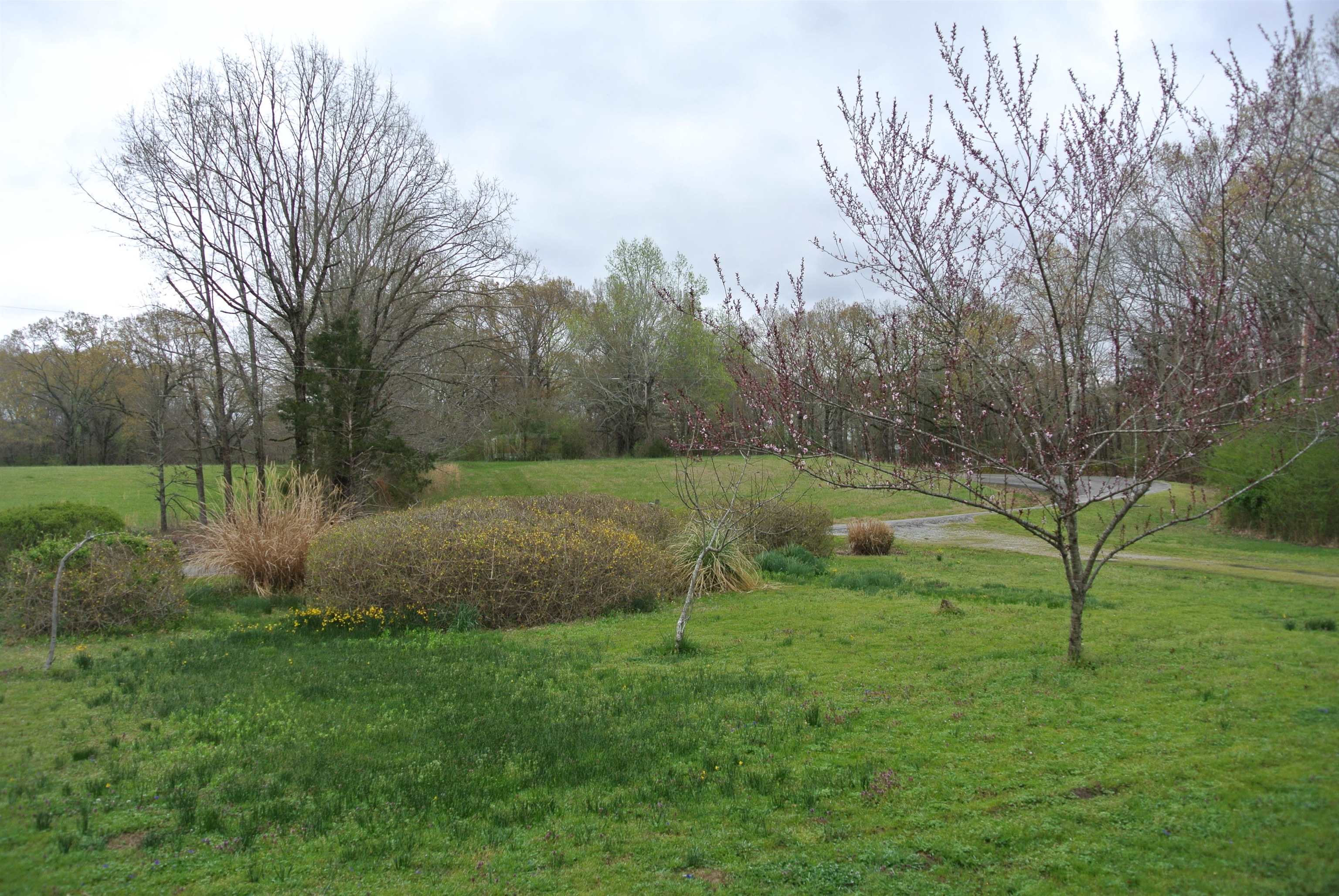 1280 Pleasant Grove Road Moscow, TN 38057 - Photo 24 of 25 Gallery Image 24