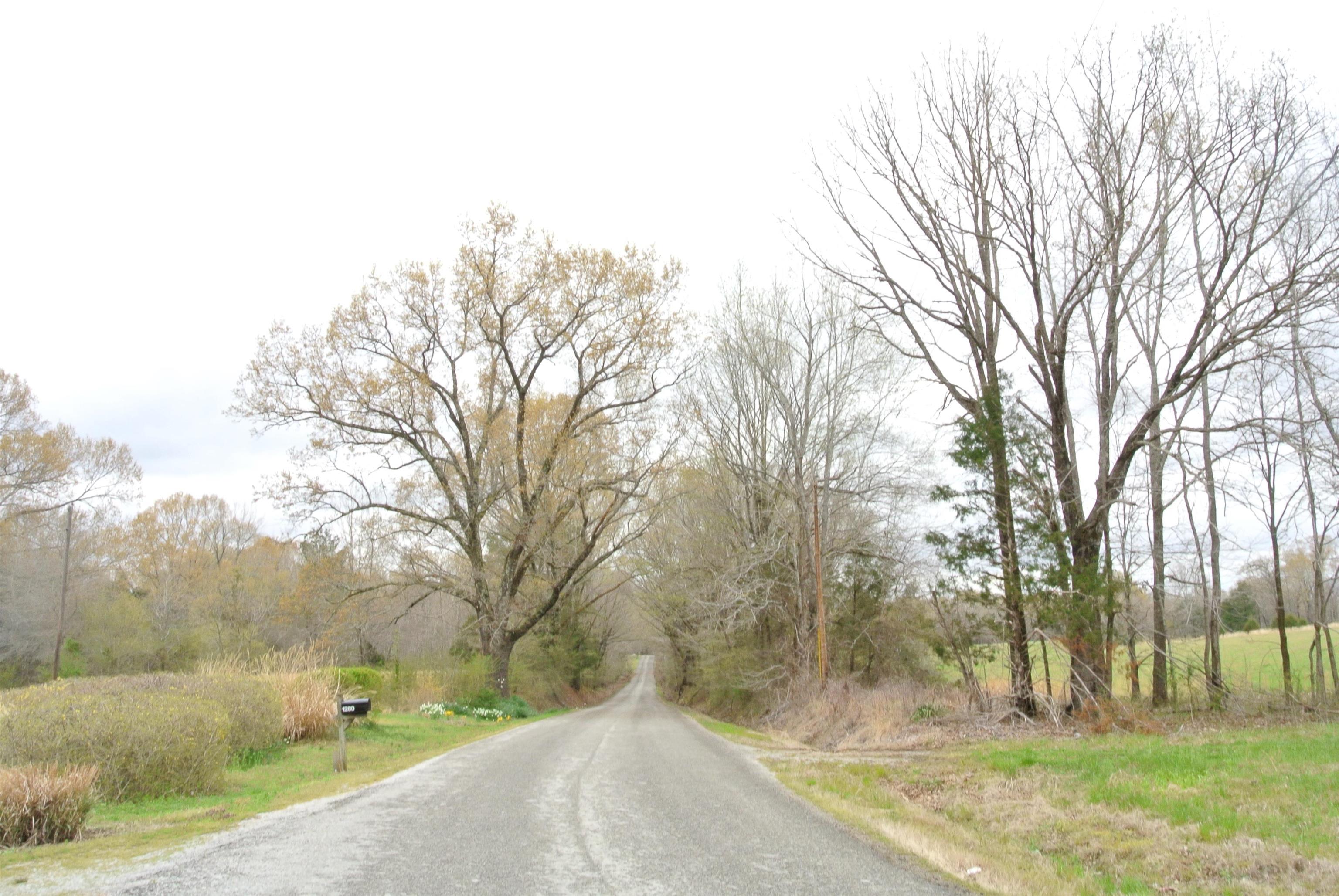 1280 Pleasant Grove Road Moscow, TN 38057 - Photo 25 of 25 Gallery Image 25