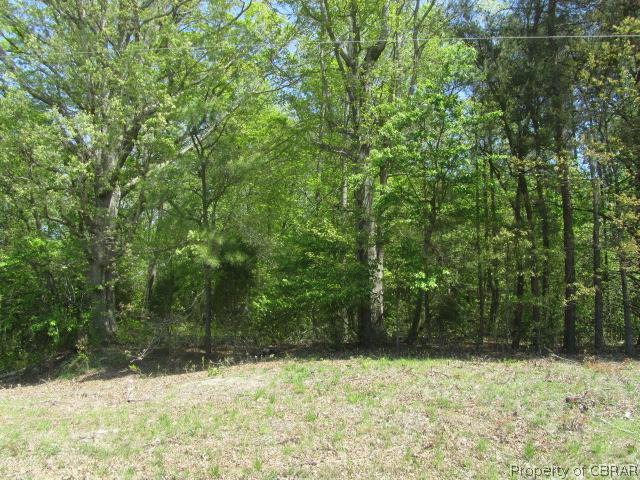 0 Turks Ferry Road Gloucester, VA 23061 - Photo 1 of 1 Gallery Image 1