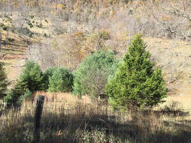 a view of covered with snow