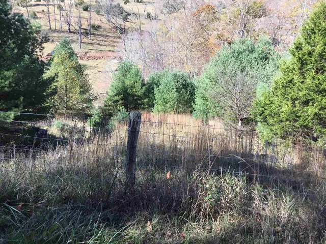 $75,000 | 2817 Dry Run Road, Franklin, WV 26807