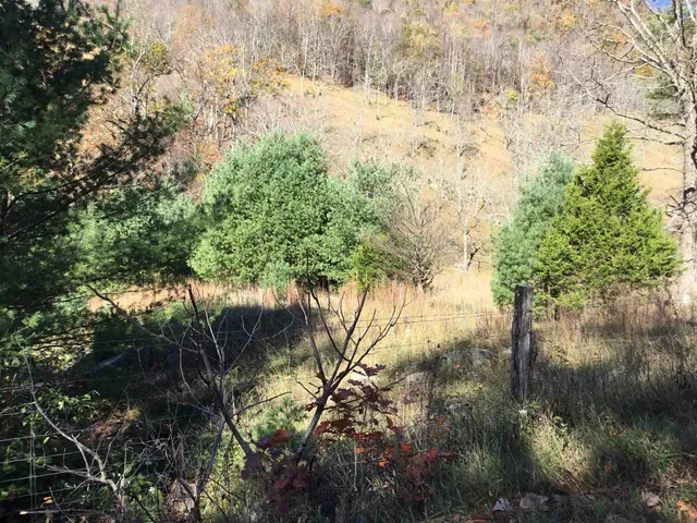 $75,000 | 2817 Dry Run Road, Franklin, WV 26807