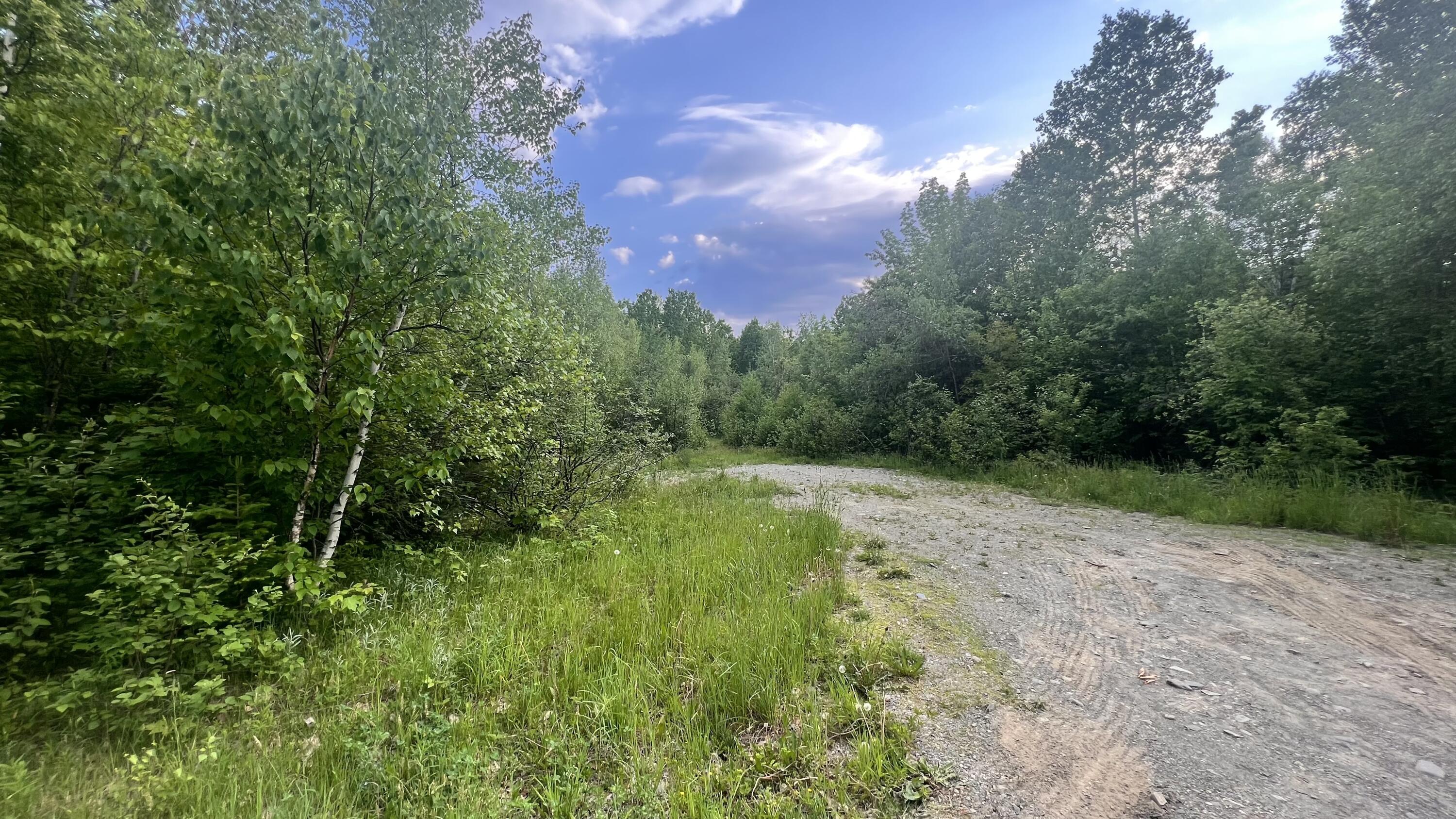 4 Map Road Guilford, ME 04443 - Photo 11 of 19 IMG_4035