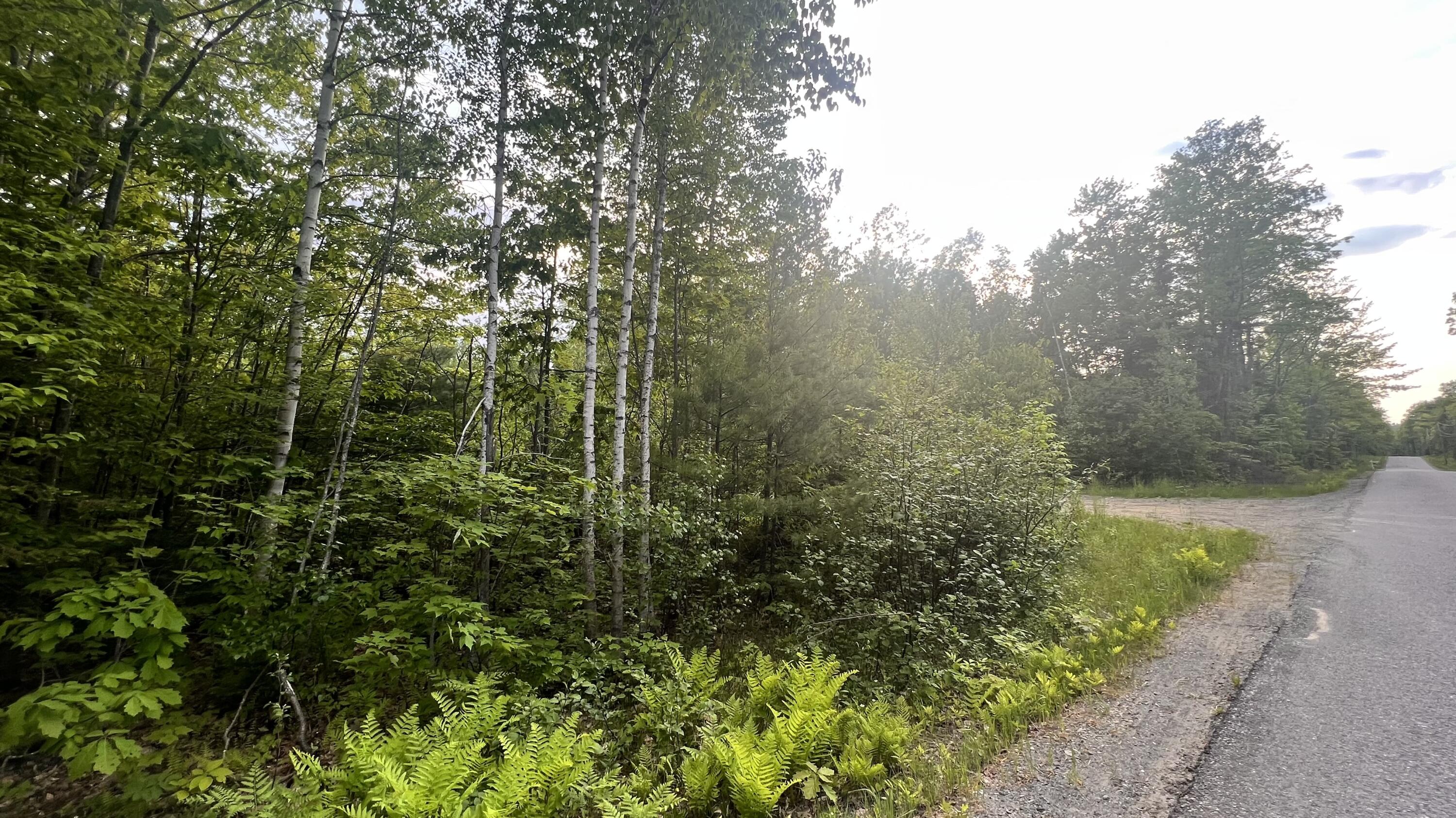 4 Map Road Guilford, ME 04443 - Photo 16 of 19 IMG-4021