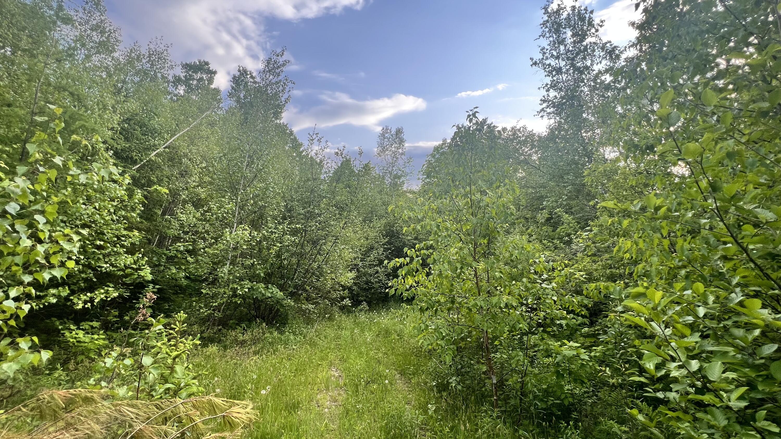 4 Map Road Guilford, ME 04443 - Photo 17 of 19 IMG-4027