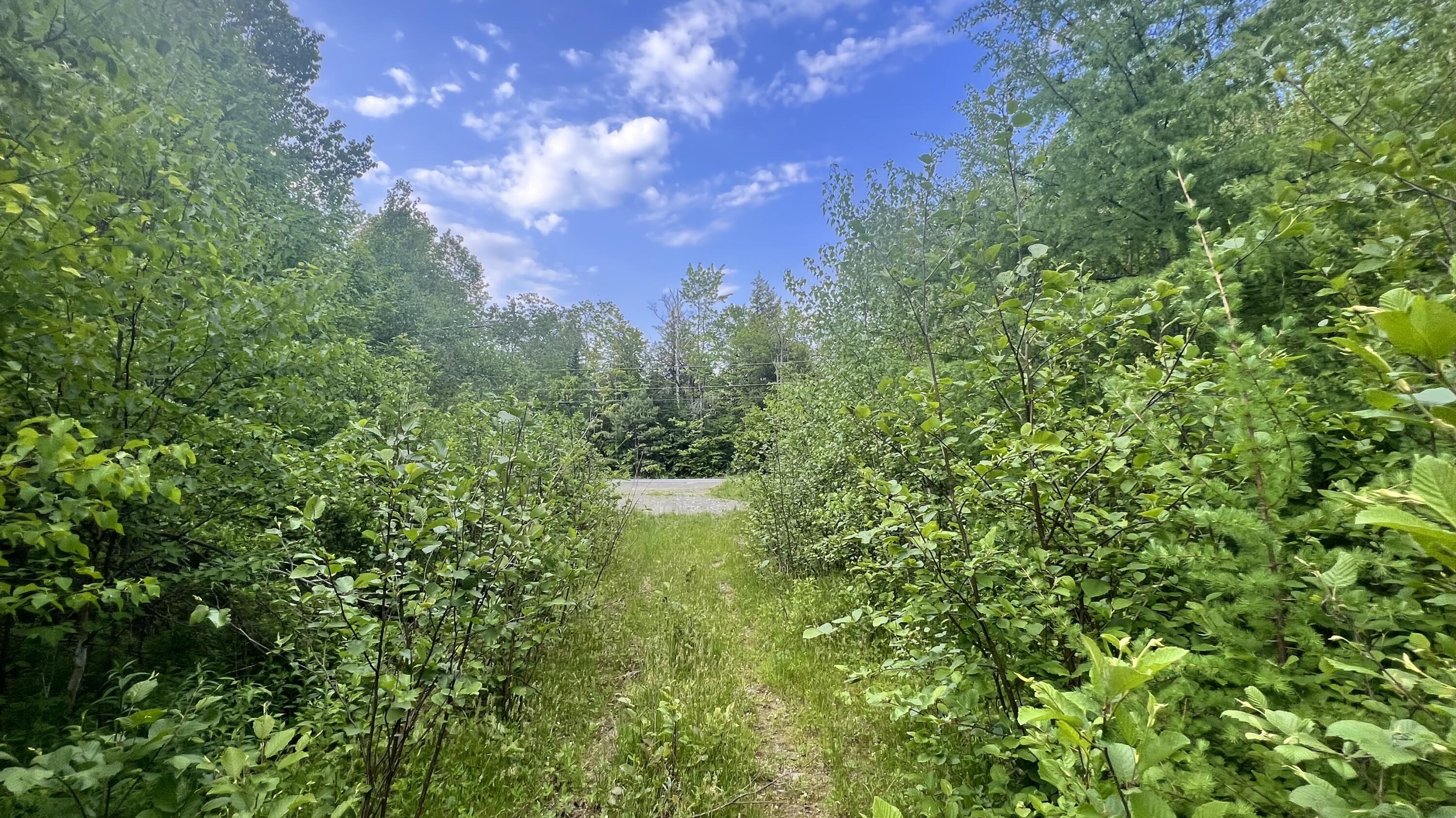 4 Map Road Guilford, ME 04443 - Photo 2 of 19 IMG-4028