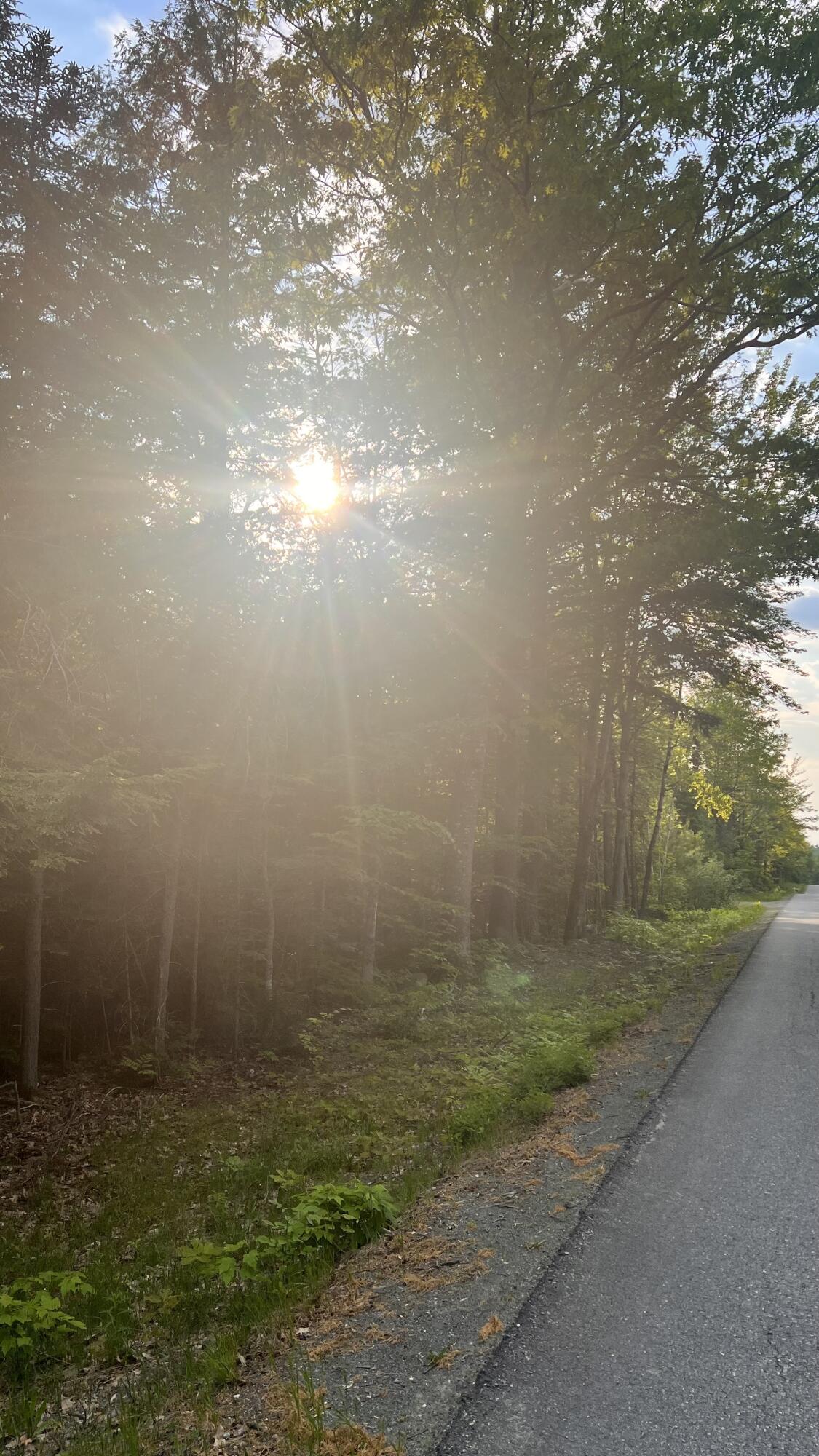 4 Map Road Guilford, ME 04443 - Photo 4 of 19 IMG_4019